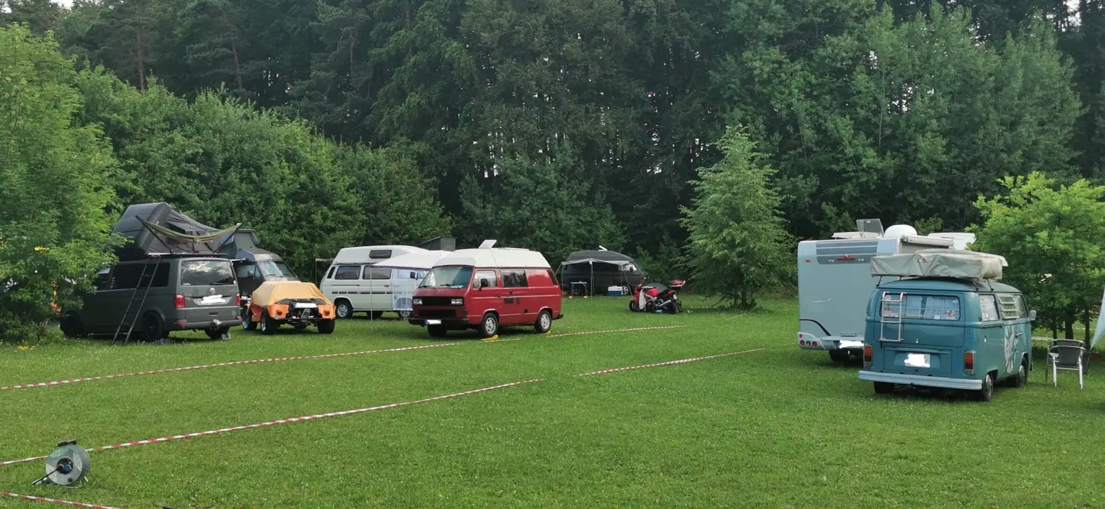 Verschiedene Bullis stehen verteilt auf der grünen Zeltwiese